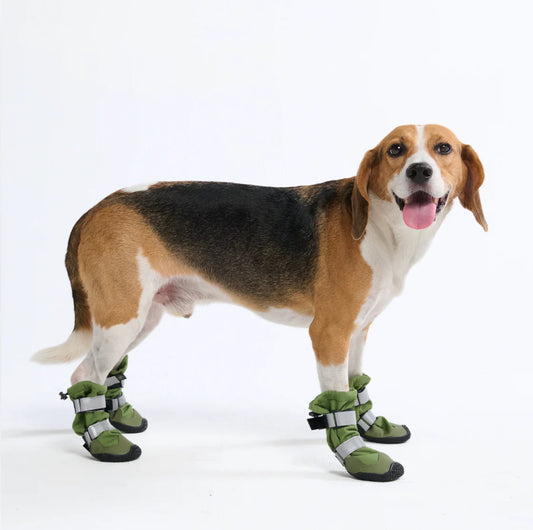 Flex Shell Wasserfeste Hundestiefel - Grün